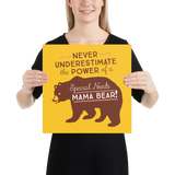 Never Underestimate the power of a Special Needs Mama Bear! Poster