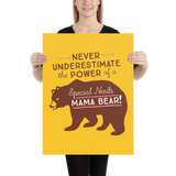 Never Underestimate the power of a Special Needs Mama Bear! Poster