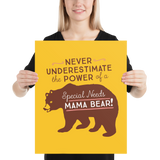 Never Underestimate the power of a Special Needs Mama Bear! Poster